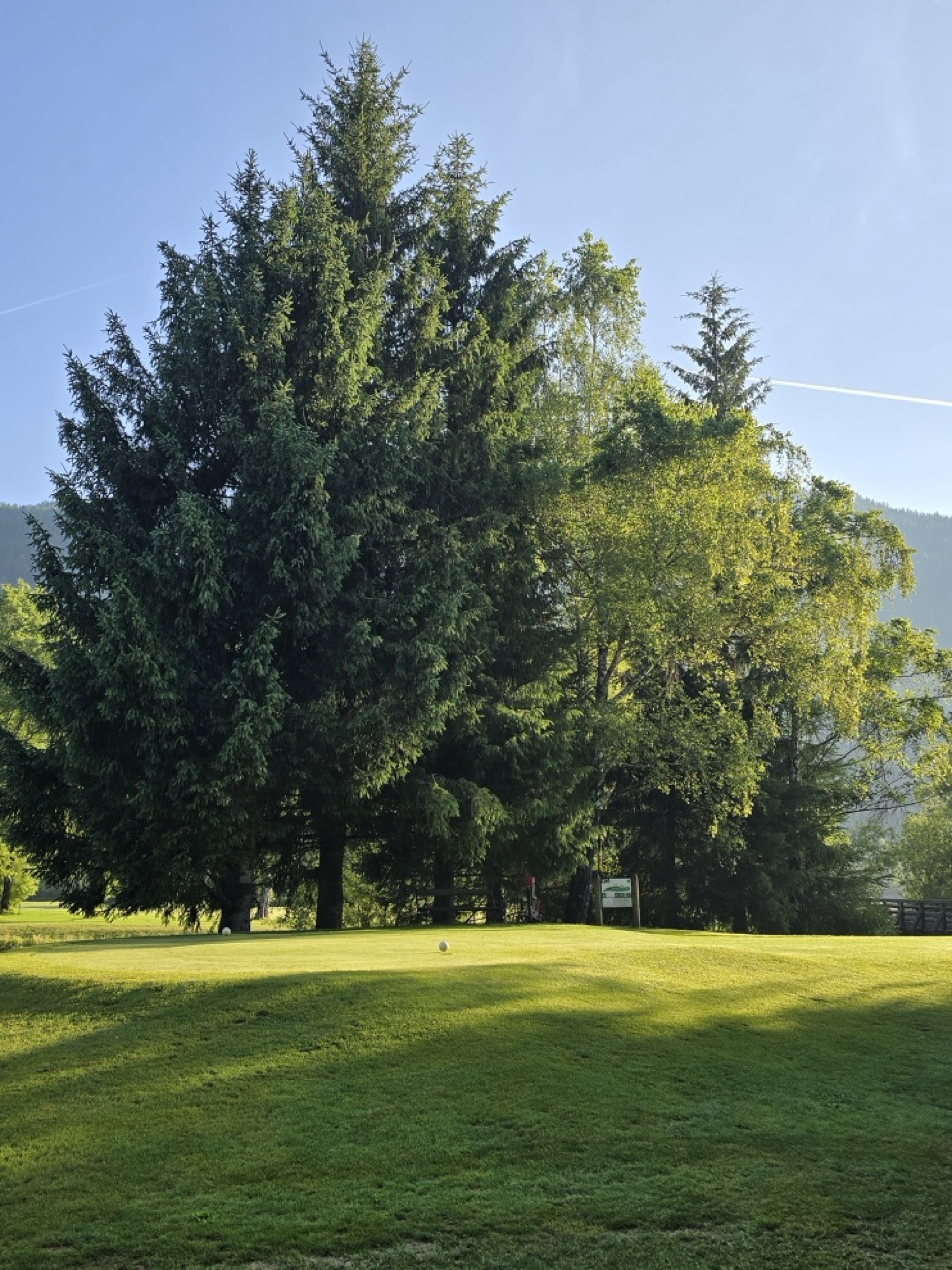 Gro├ƒ 20250622 065922