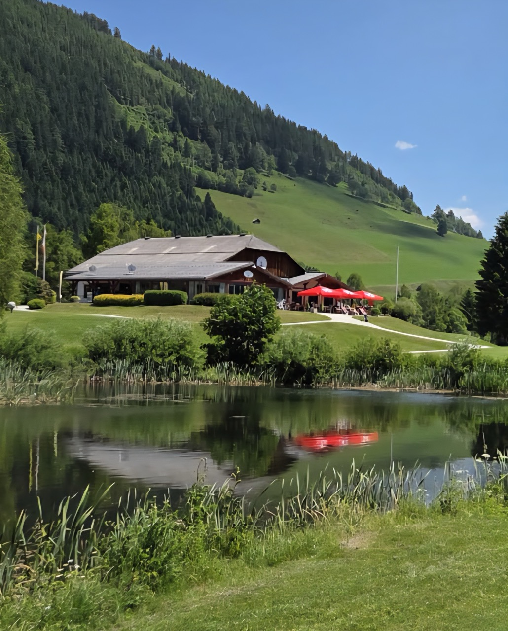 Gro├ƒ IMG 20250619 WA0002